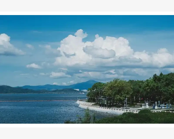 B2B综合网站资源大盘点_用数据证明视频证言的真实效果