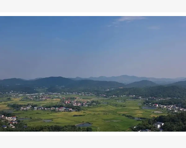 MT4自动固定比例止损EA编写教程