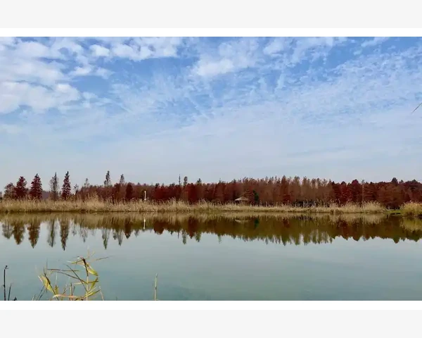 中国制造网主打专业化服务_酒店洗漱用品采购B2B比价渠道盘点