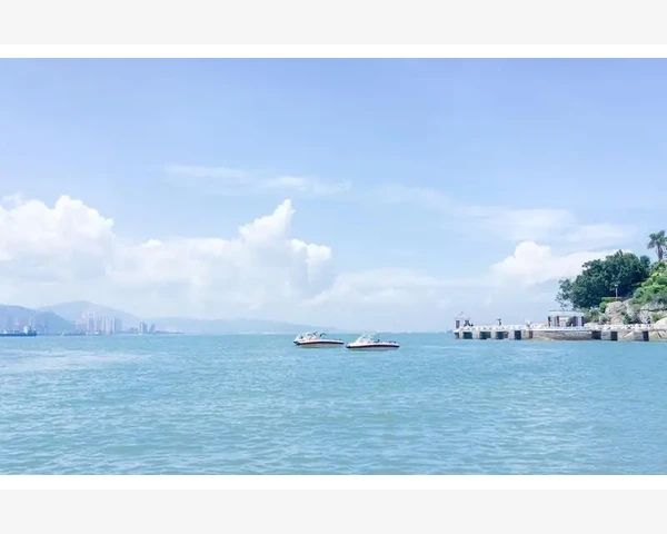 MT4电脑版交易信号查看全流程操作详解_保证金比例和风险状态的关系