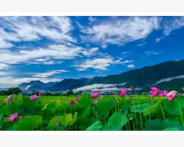 MT4电脑版止盈位置无法修改的成因与对策