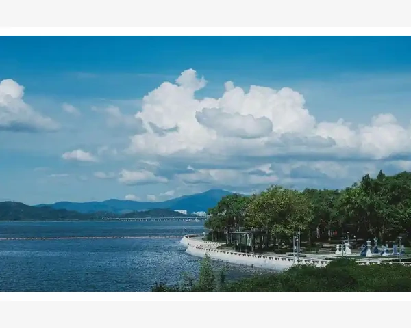 B2B职业岗位解析企业交易背后的关键角色_B2B职业岗位解析企业交易背后的关键角色