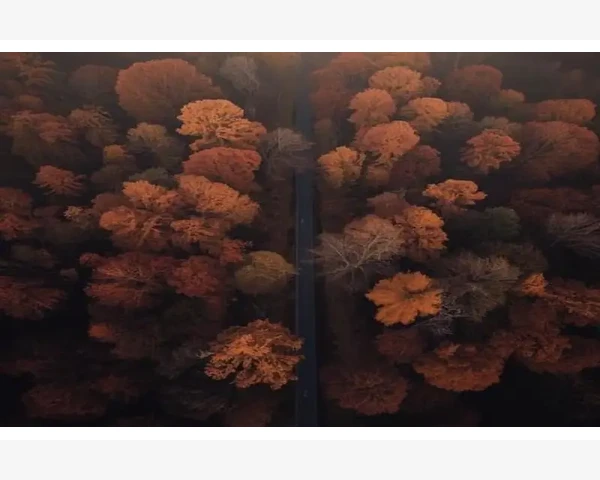 区域品牌借B2B打入全国供货市场_订单处理与资金结算的流程